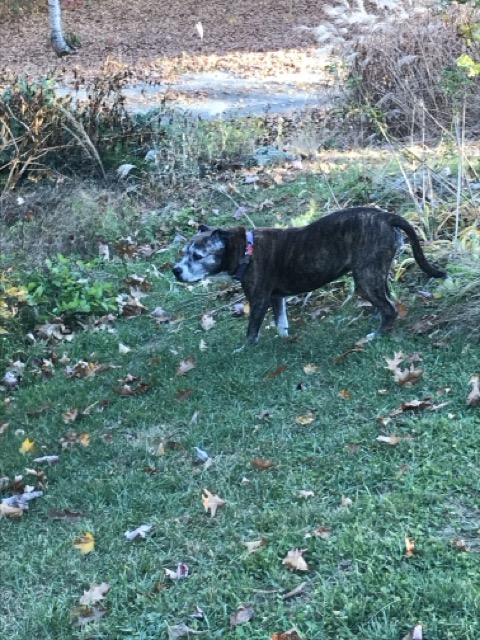 Photo of Gabby