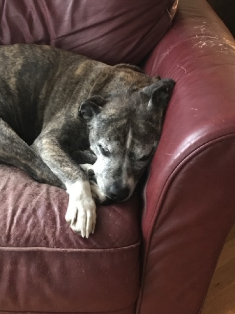 Photo of Gabby