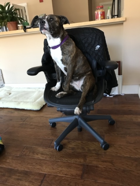 Photo of Gabby