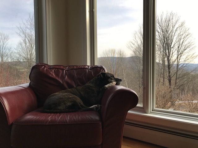 Photo of Gabby