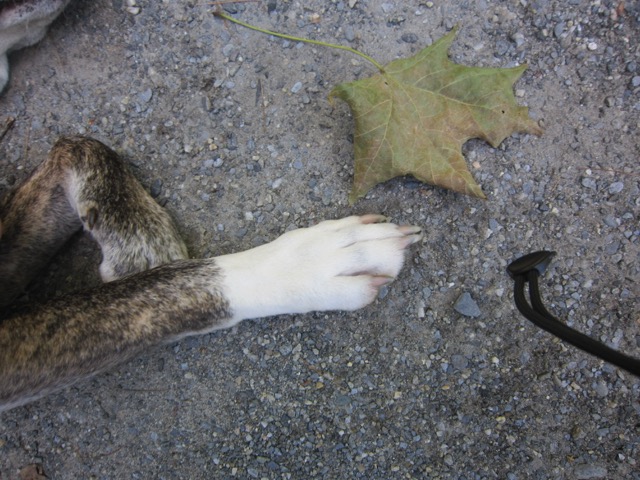 Photo of Gabby