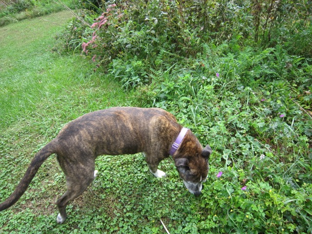 Photo of Gabby