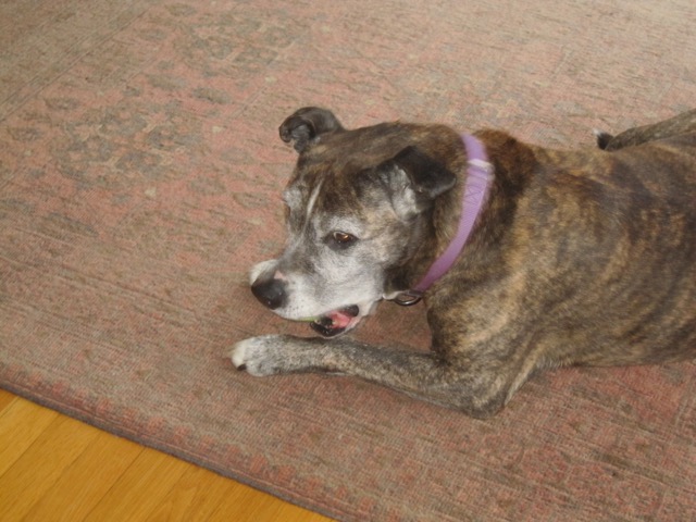Photo of Gabby