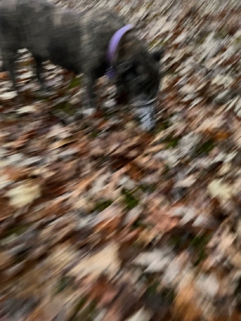 Photo of Gabby